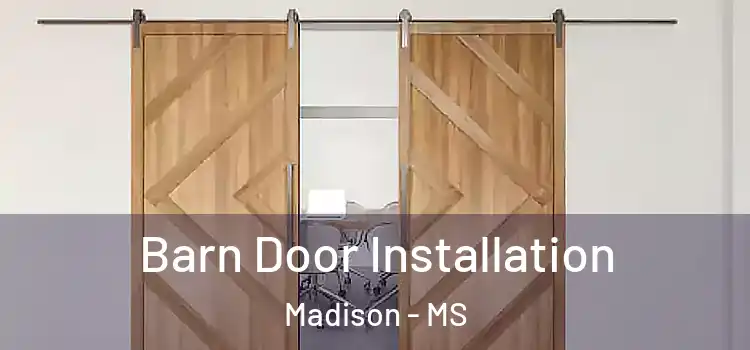  Barn Door Installation Madison - MS