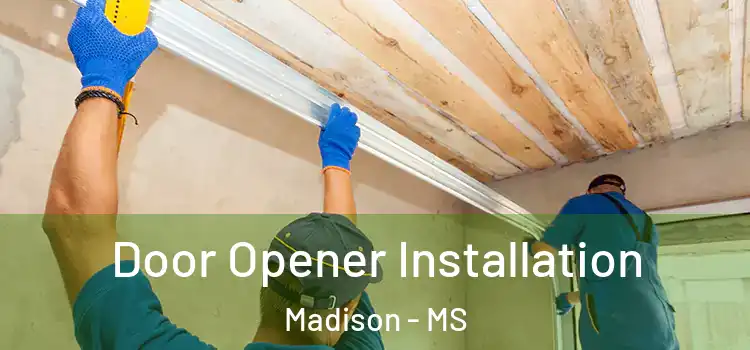 Door Opener Installation Madison - MS