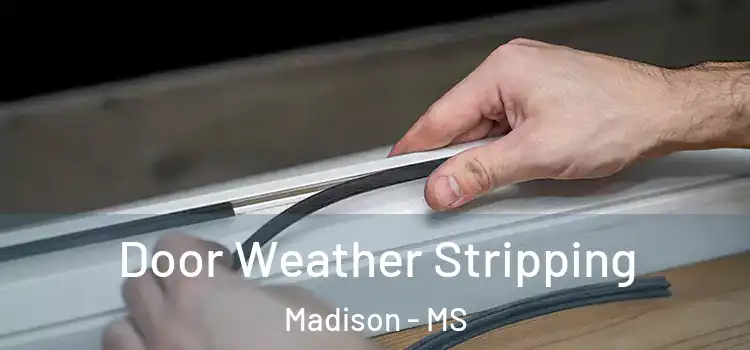  Door Weather Stripping Madison - MS