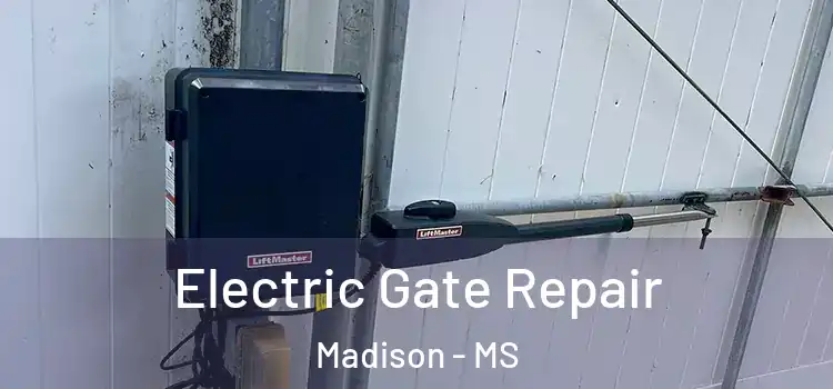 Electric Gate Repair Madison - MS