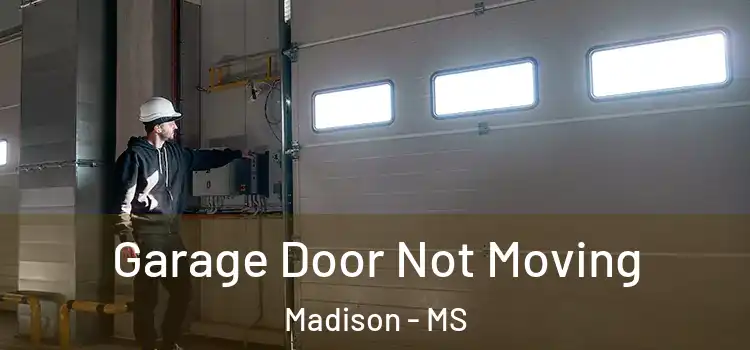  Garage Door Not Moving Madison - MS
