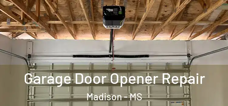  Garage Door Opener Repair Madison - MS