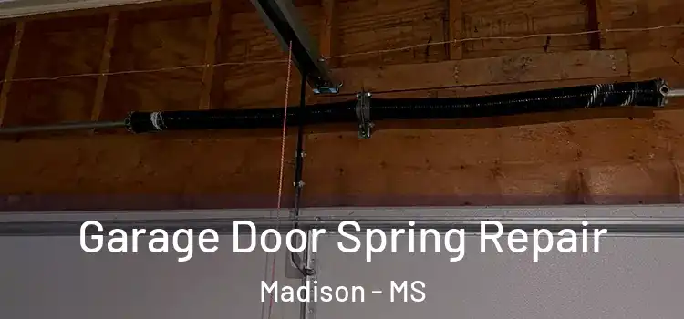  Garage Door Spring Repair Madison - MS