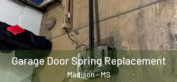  Garage Door Spring Replacement Madison - MS
