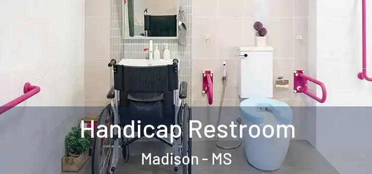 Handicap Restroom Madison - MS