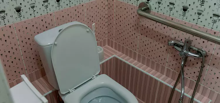 Meeting Diverse Needs With Accessible Restroom Solutions in Madison, MS