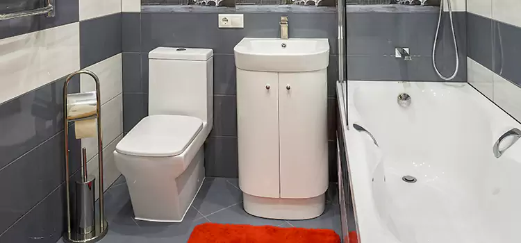 Hansgrohe Shaving Mirror Madison