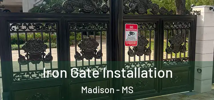  Iron Gate Installation Madison - MS