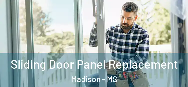  Sliding Door Panel Replacement Madison - MS