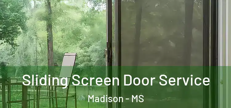 Sliding Screen Door Service Madison - MS