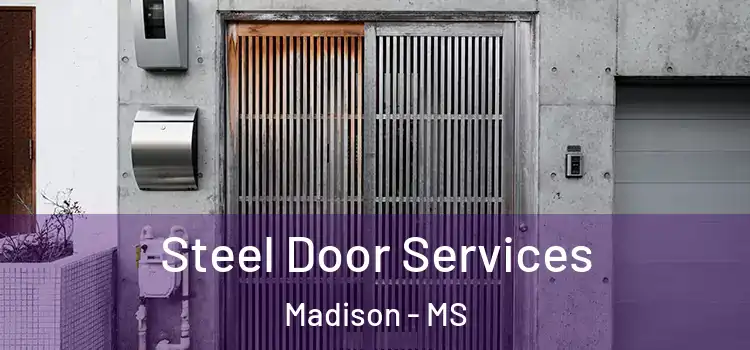 Steel Door Services Madison - MS